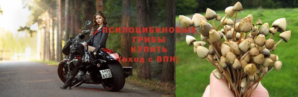 бошки Арсеньев