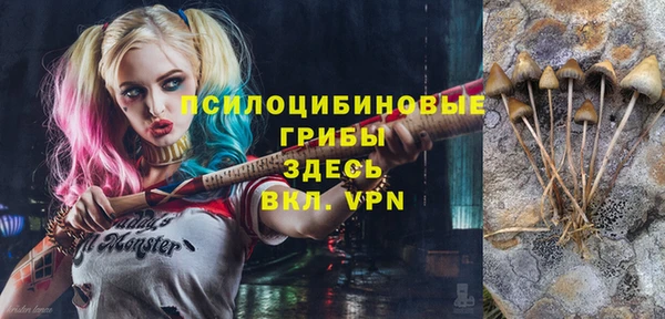 прущие грибы Аркадак