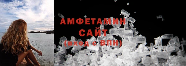 прущие грибы Аркадак