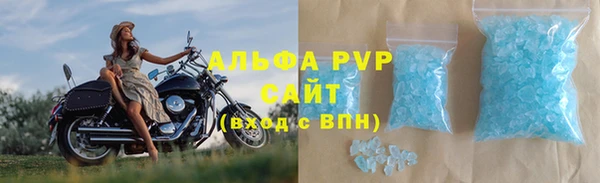 прущие грибы Аркадак