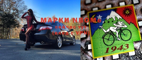 прущие грибы Аркадак