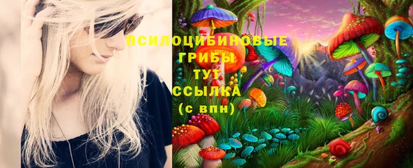 бошки Арсеньев