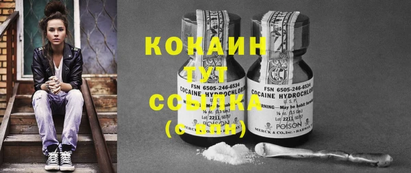 прущие грибы Аркадак
