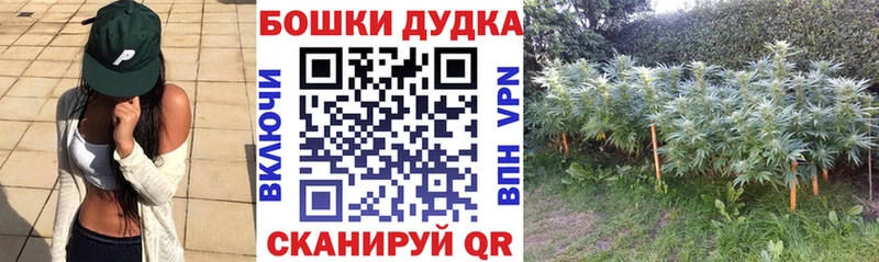 Бошки Шишки SATIVA & INDICA  Сегежа 